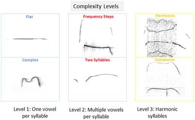 Temporal dynamics of isolation calls emitted by pups in environmental and genetic mouse models of autism spectrum disorder